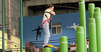 Climbing Pillar